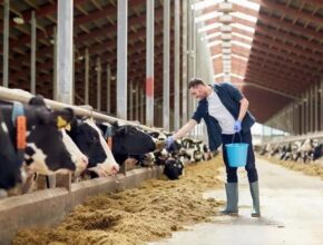 U.S.  Dairy Farm Jobs