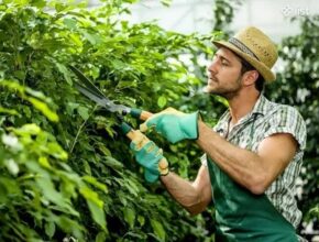 Canada Gardener Jobs